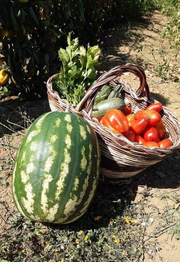 Agriturismo Selvella Allerona Eksteriør billede