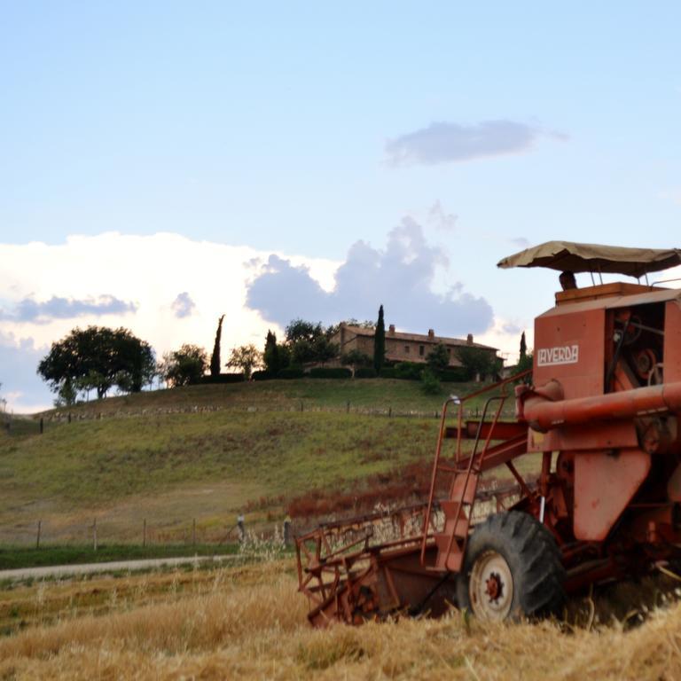 Agriturismo Selvella Allerona Eksteriør billede